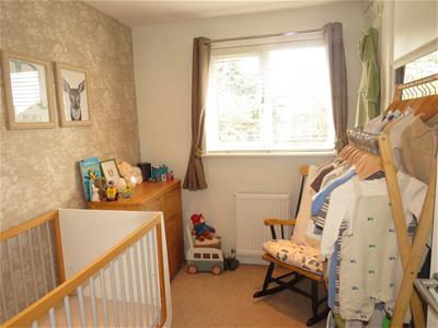 Picture 13